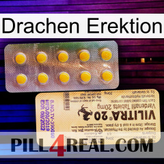 Dragon Erection new06